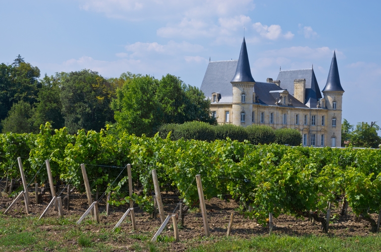 Dégustation_et_Excellence_visite_domaine (5)